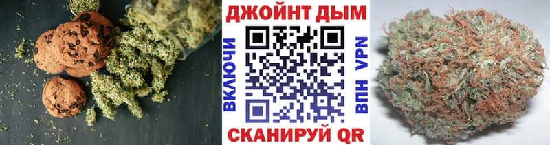 Cannafood конопля Ижевск