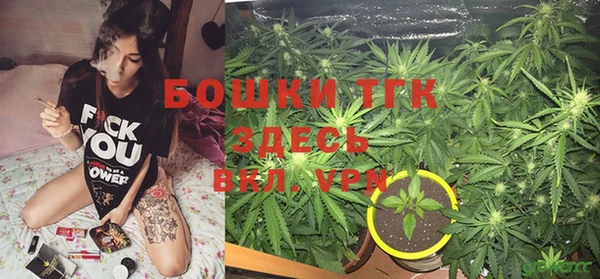 трава Богородицк