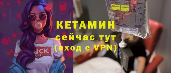 сатива Богданович
