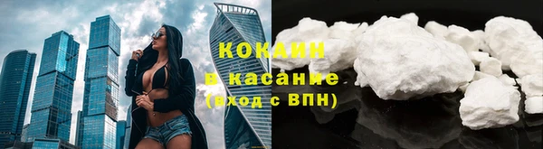 сатива Богданович
