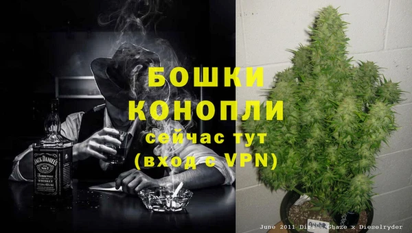 трава Богородицк