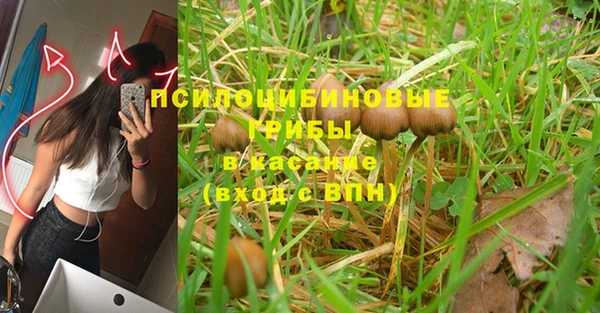 сатива Богданович