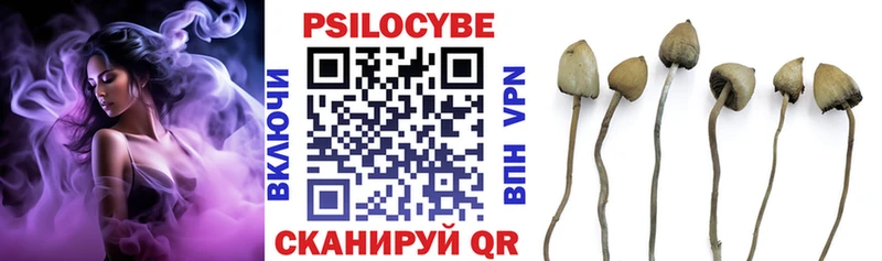 наркотики  Ижевск  Галлюциногенные грибы мухоморы 